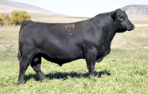 Sitz Vanderbilt 9492 Picture