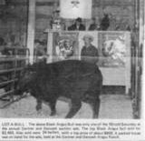 Newspaper clipping of GDAR's 2nd sale.