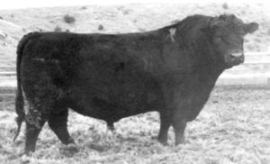 BARDOLIER 011 G D A R