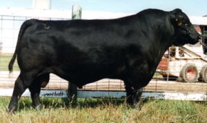 G D A R TRAVELER 011