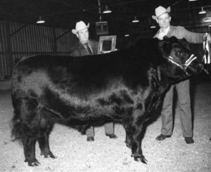 Eileenmere 827 of GDAR