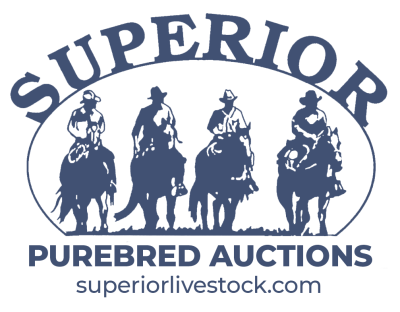 Superior Livestock